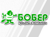 Логотип Бобер