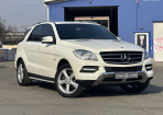 Mercedes M