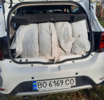 Renault Sandero Stepway