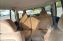 Jeep Grand Cherokee 4.0 AT 4WD (190 л.с.)