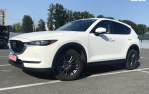 Mazda CX-5 2.5 SKYACTIV-G 194  4x4 (194 л.с.)